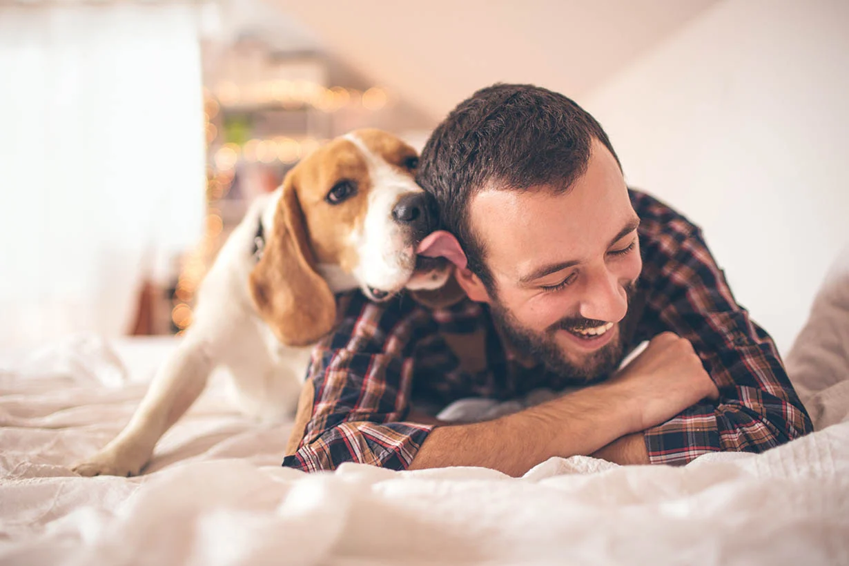 Man and his dog man playing with his dog in bed