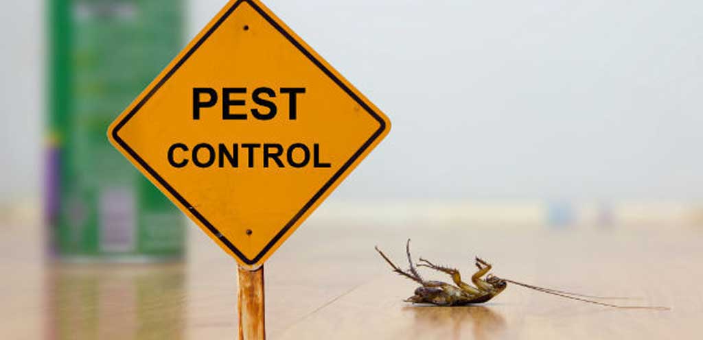 pestControl-Supporting-1024px pest control sign next to a cockroach